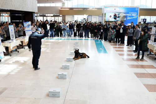 unuudur/image/2026/04/06/j7t4f66a1xjmrxu7/gaali